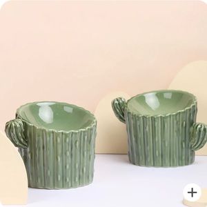 Ceramic Cactus cat food bowl